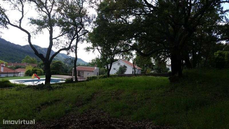 Terreno rustico 4ha com PDM para construção - Grande imagem: 5/9