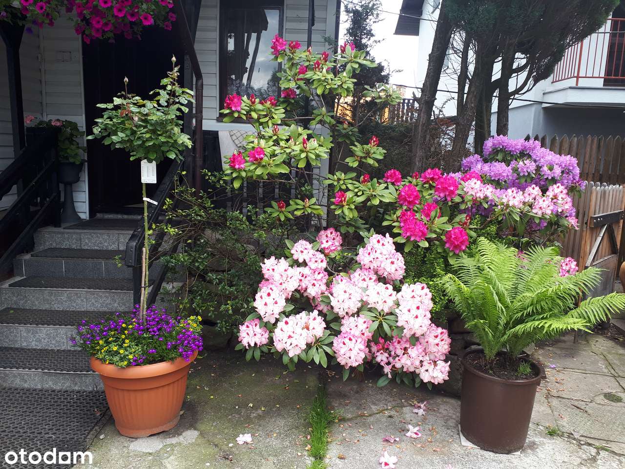 Dom z odrębną działką 509 m2 - Pełny obrazek: 5/20