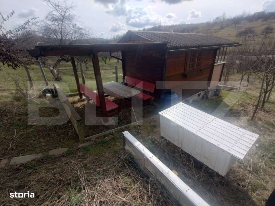 Teren 300 mp + Cabana,zona Livezile,Valea Lunga - Imagine principală: 1/12