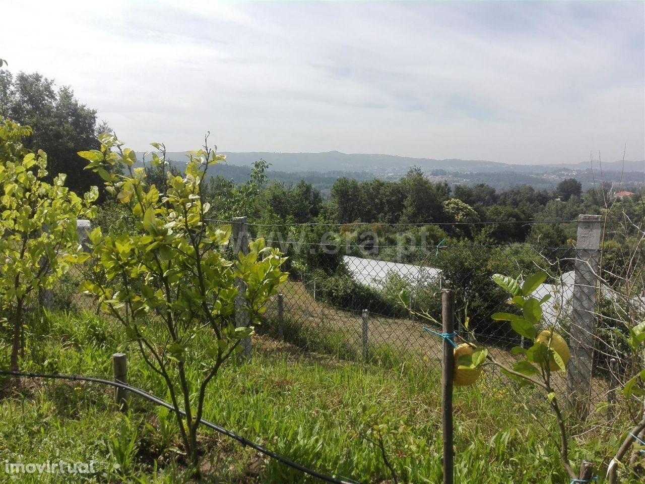 Terreno agrícola com 2.000 m2 em Estorãos