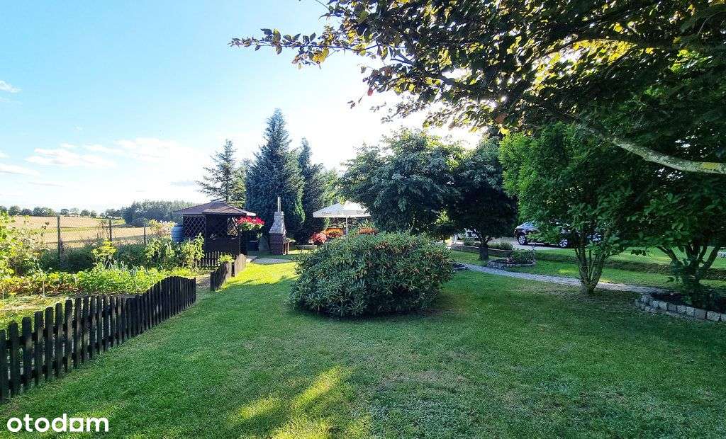 Dom całoroczny z dużą działką - 3 838 m2-11