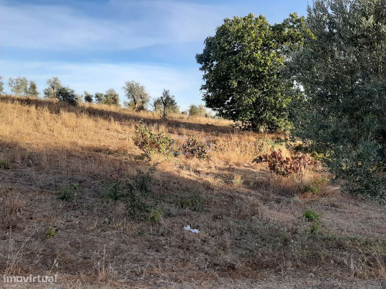 Terreno com Projeto Aprovado para Moradia em Besteiras – Águas Belas-12