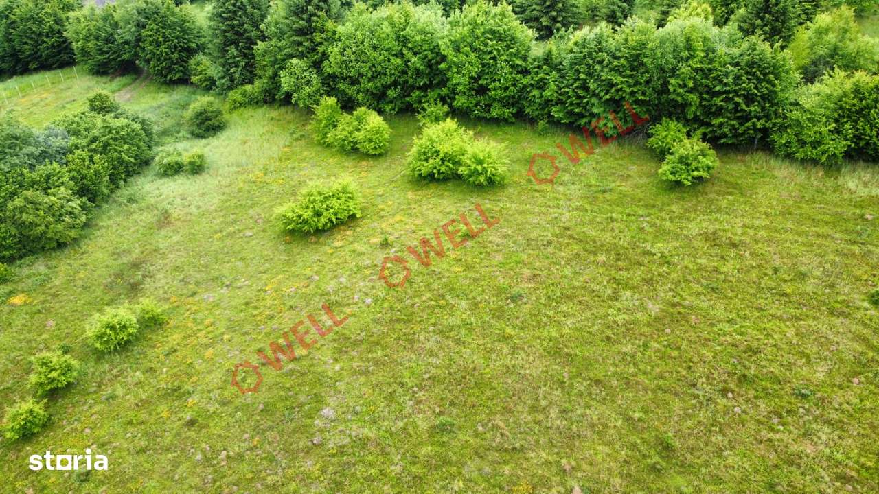 De vânzare teren intravilan în Vlădeni, comuna Dumbrăvița - Imagine principală: 5/8