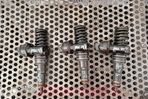 Injector motorina 1.4 BMS Skoda Roomster 1 5J  [din 2006 pana  2010] seria Panel van 5-usi 1.4 TDI - 1