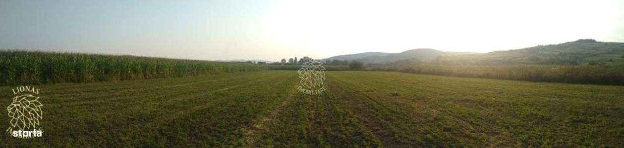 Teren 5500 mp-oportunitate investitie-pretabil cabana-Jelna - Imagine principală: 2/5