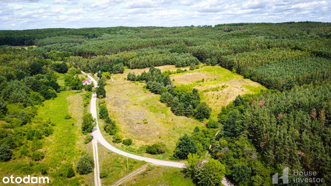 Nowe Kurowo- Piękna działka w otulinie lasów 1247 m2, warunki zabudowy-6