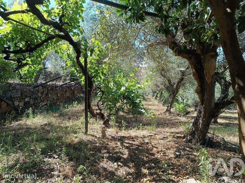 Terreno Agrícola em Poiares de 1900,00 m2 - Grande imagem: 5/28