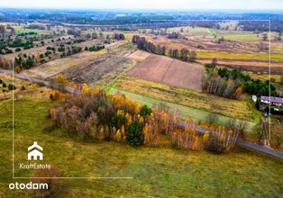 Działki (1000 m2 lub 1989m2) przy Narwi, natura✔ - Pełny obrazek: 3/6