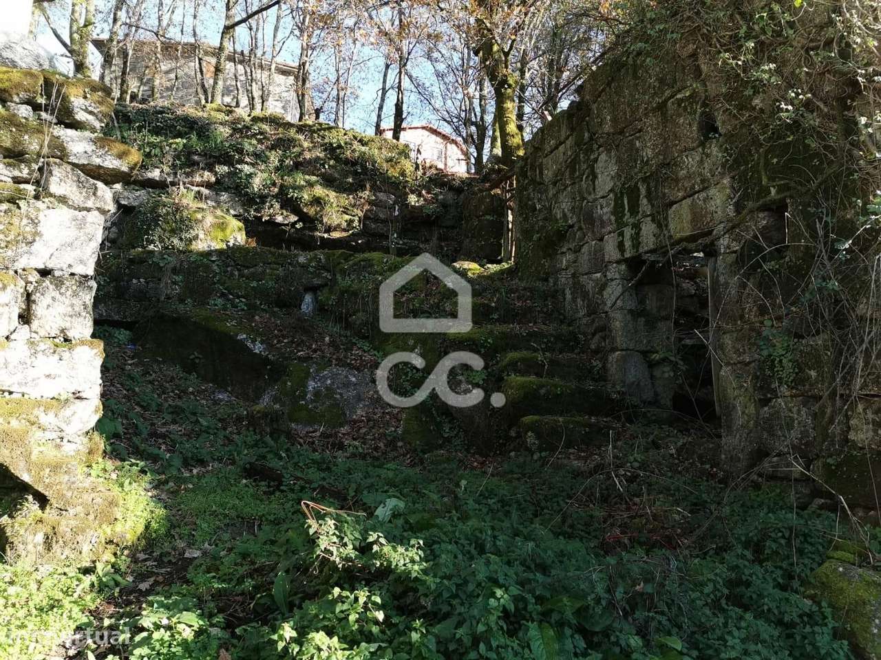 Quinta à venda em Rossas, Vieira do Minho-15