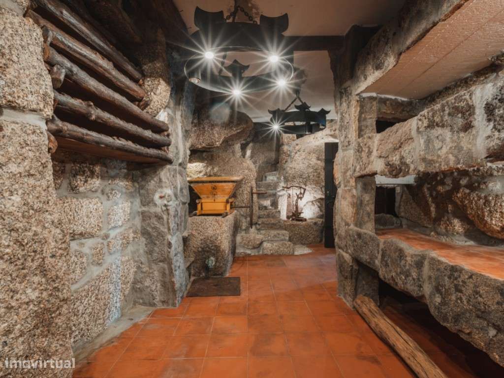 Castelo em Vieira do Minho, Portugal-19