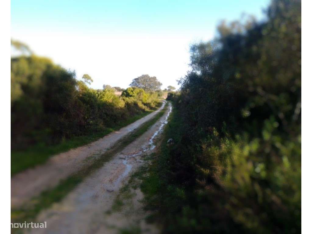 Terreno rustico com cerca de 100.000 m2 em Santarém - Grande imagem: 5/10
