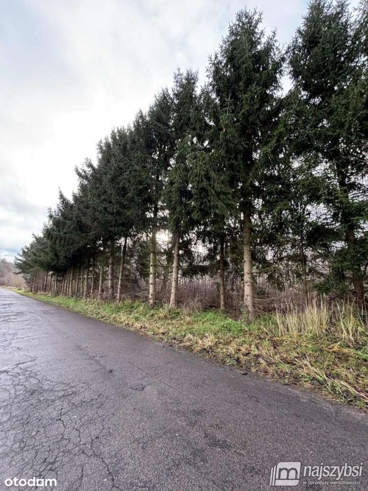 Goleniów-okolice - działka z Wz - Pełny obrazek: 4/4