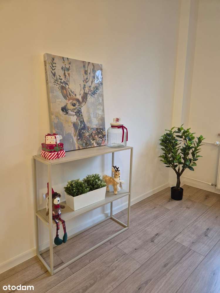 Bezpośrednio, 2 pokojowe, po remoncie, można kredytować, Bielany - Pełny obrazek: 2/9