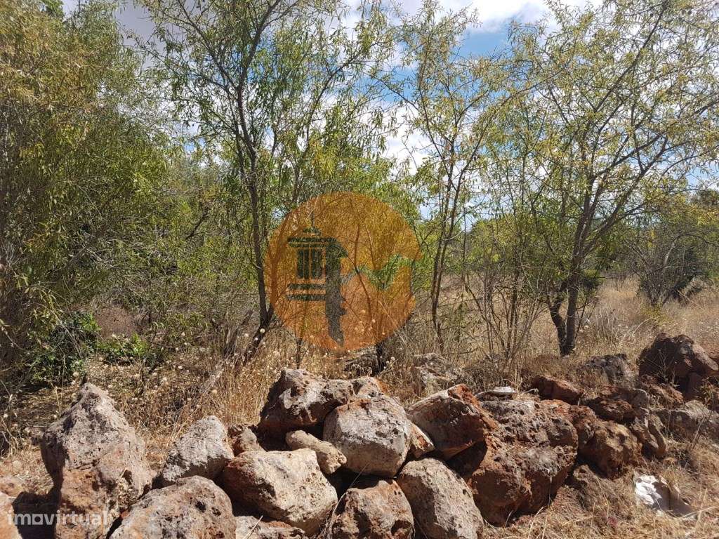 Terreno Rústico - Grande imagem: 2/7