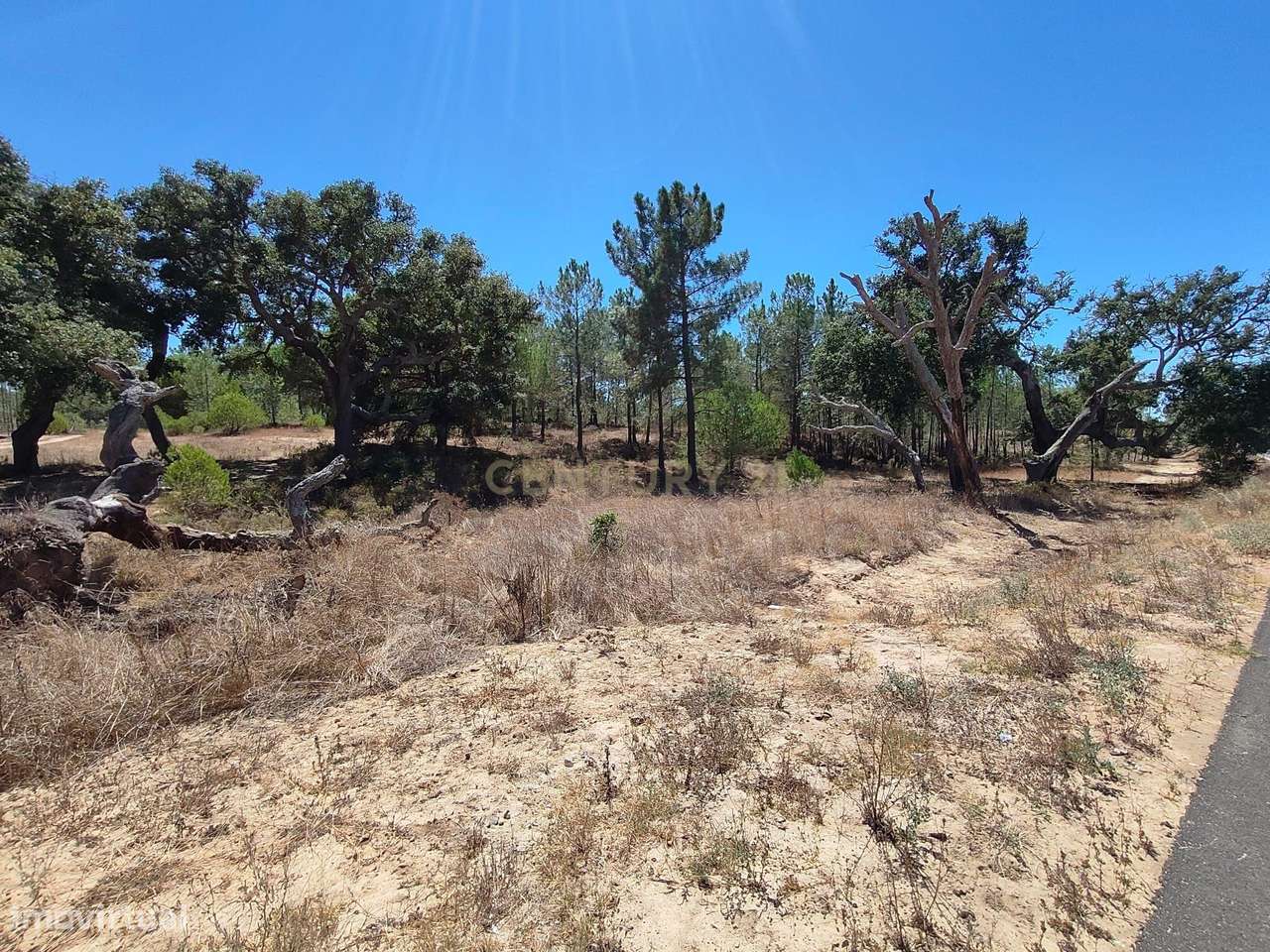 Terreno Rústico em Melides/Grândola - Grande imagem: 4/29