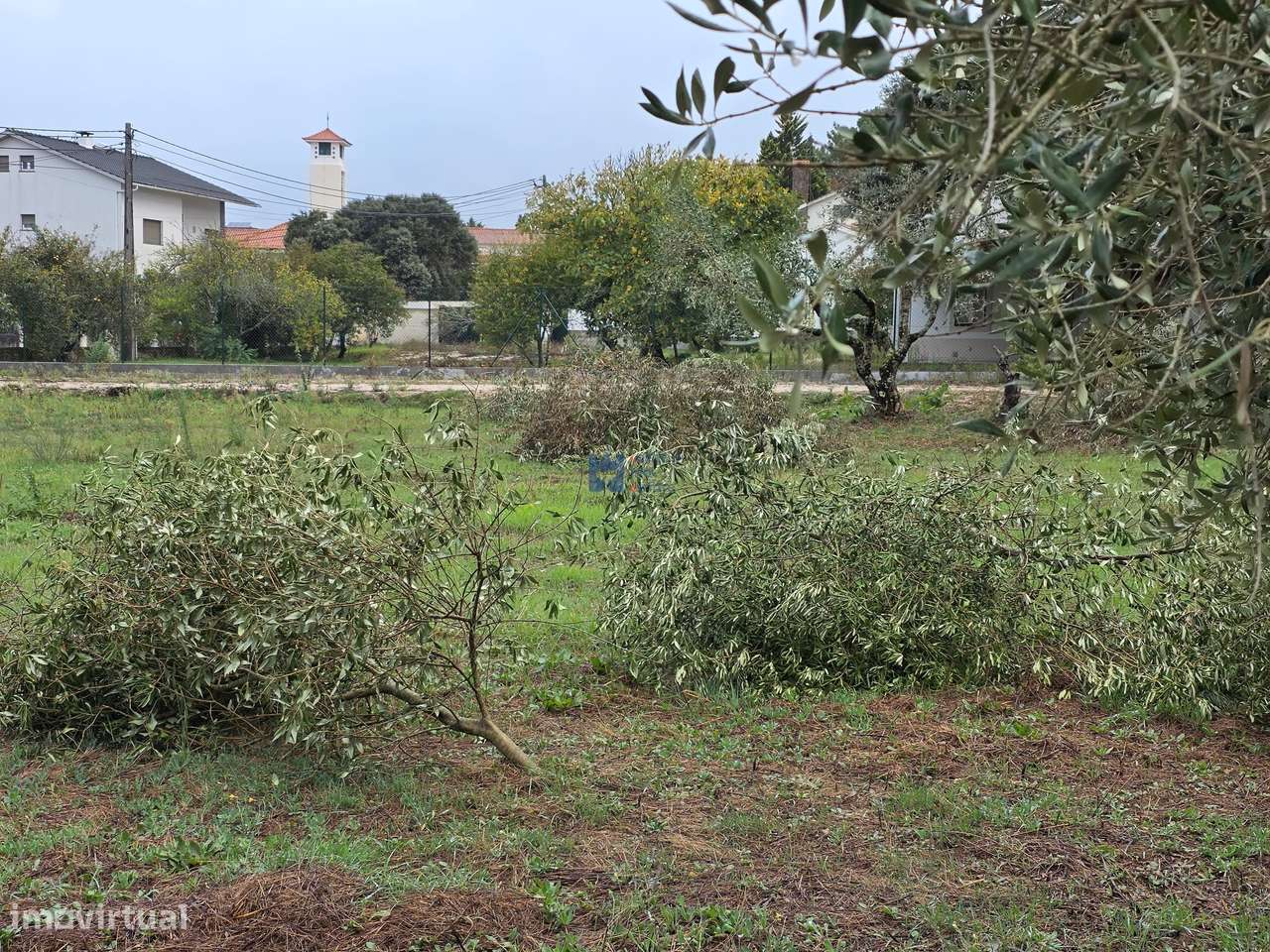 Lotes de Terreno para Construção em Fátima-15