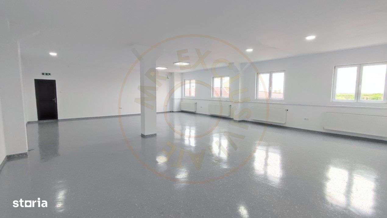 Inchiriere Spatii de Birouri/Productie - Str. Uzinei - Carei - Comisio - Imagine principală: 2/19