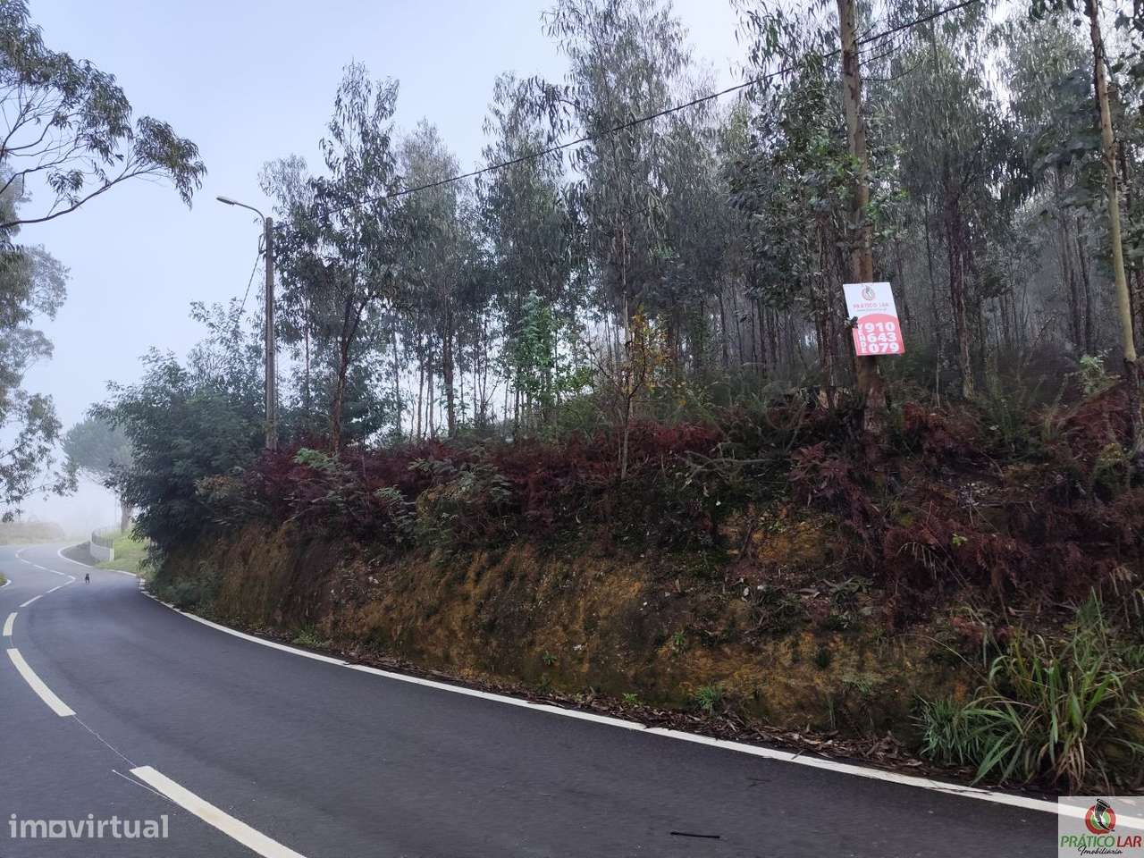Terreno em Zevedinho, Cedrim com viabilidade de construção - Grande imagem: 5/15