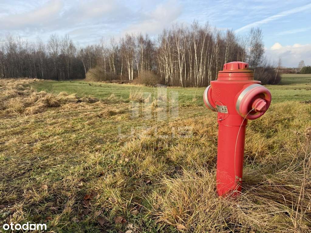 Działka 969 m² z WZ – cisza, zieleń, słońce-8