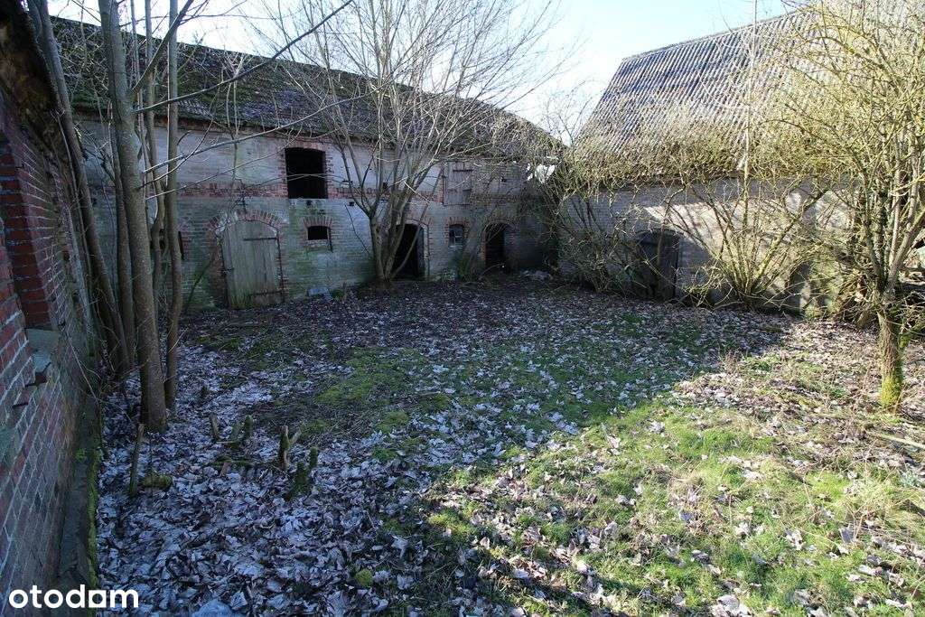 Działka 6134m2, z domem do remontu, Rydzewo - Pełny obrazek: 5/20