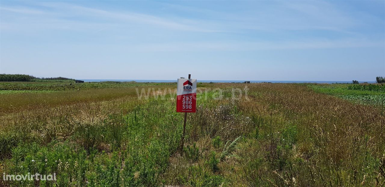 Terreno agricola junto ao Mar, Esposende