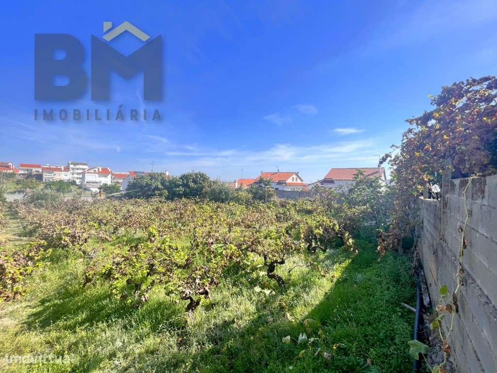 Terreno para construção, com 1200m2, em Castelo Branco. - Grande imagem: 5/10