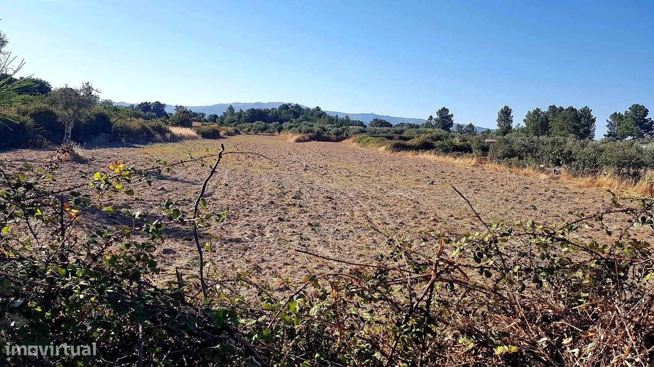 Terreno rústico em Lardosa - Castelo Branco - Grande imagem: 5/7