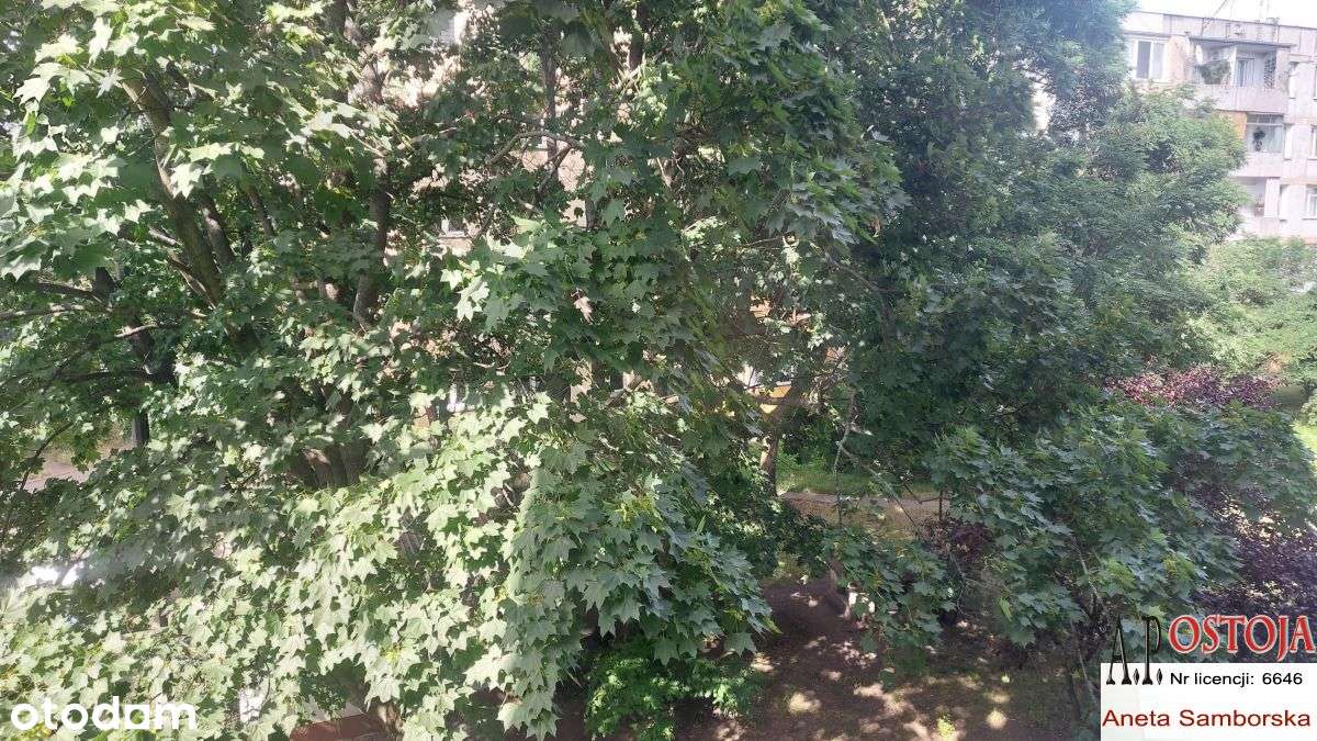 Idealne pod inwestycję lub dla Rodziny! Nowa-15