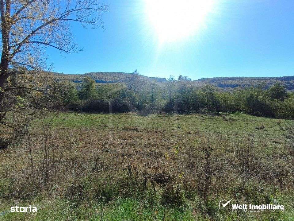 Teren extravilan de vanzare in Vultureni Cluj - Imagine principală: 1/5