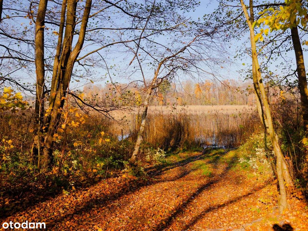 Działka siedliskowa - Krągi-9