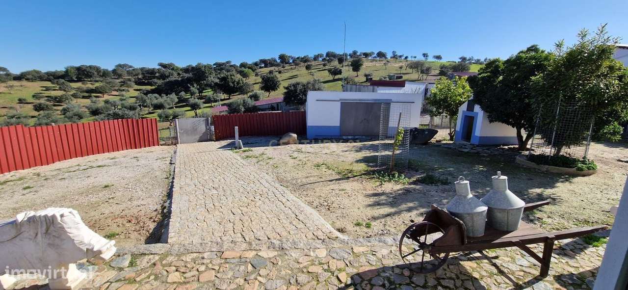 Herdade de 62 Hectares no Coração do Alentejo – Évora  - Agricultura --5