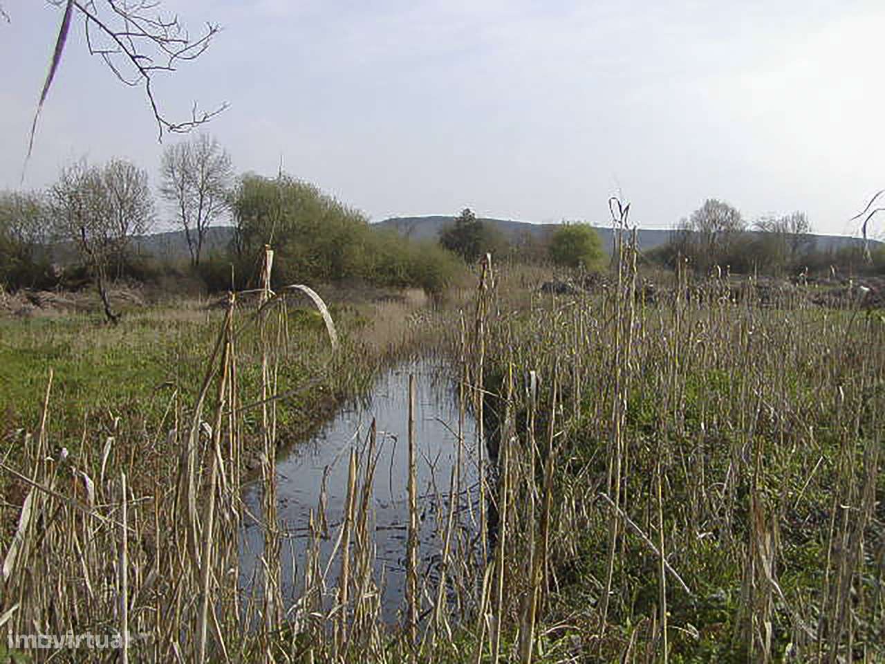 Quinta - Soure - Coimbra - Grande imagem: 5/8