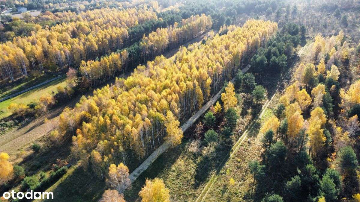 Uzbrojone działki budowlane/Częstochowa, Mirów - Pełny obrazek: 4/7