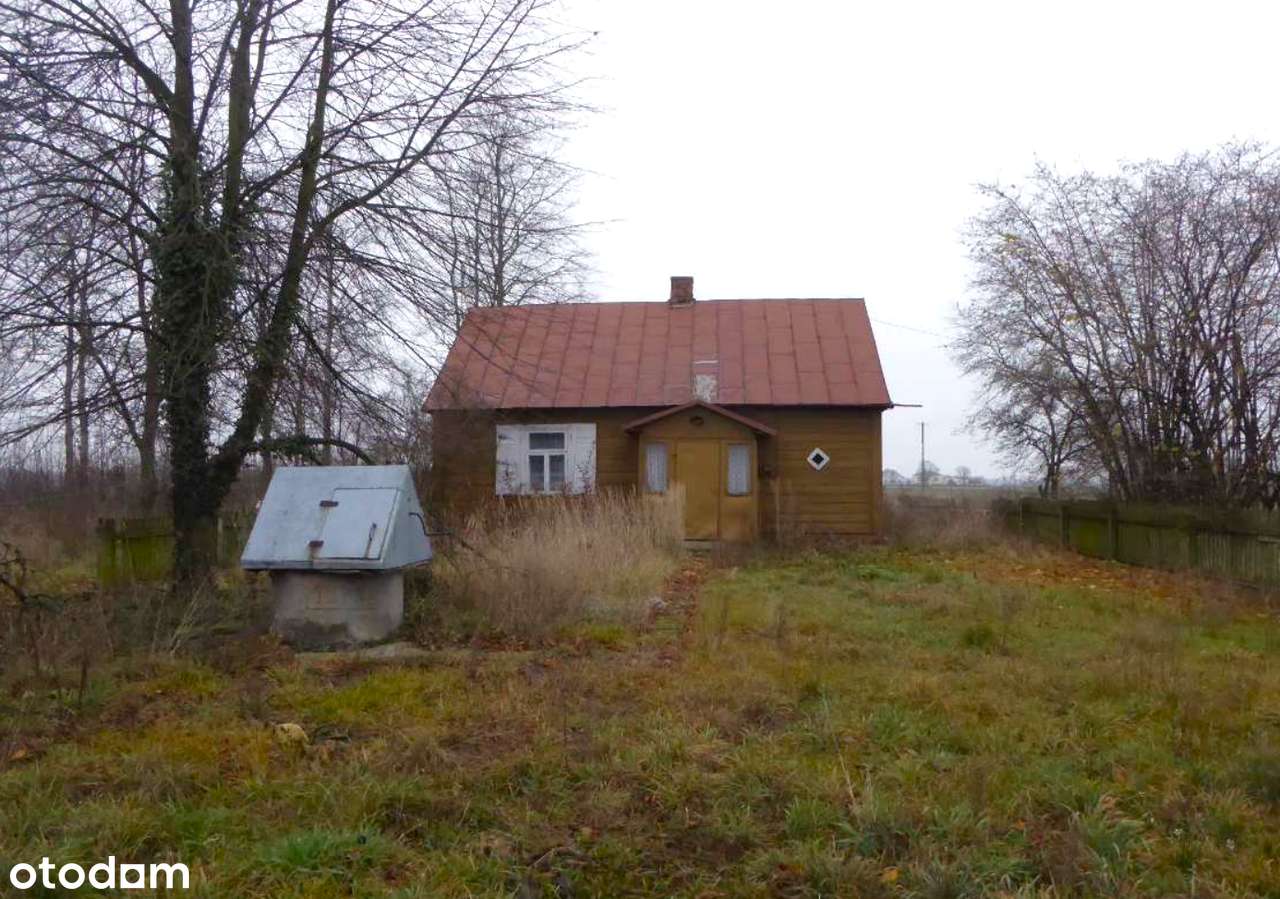 Uroczy drewniany domek, siedlisko, duża działka - Siedlanów 21-300-2
