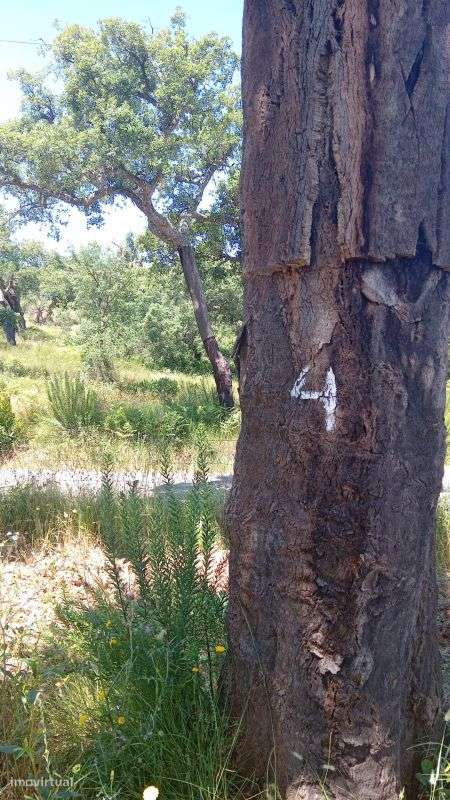 Terreno  para venda - Grande imagem: 5/9