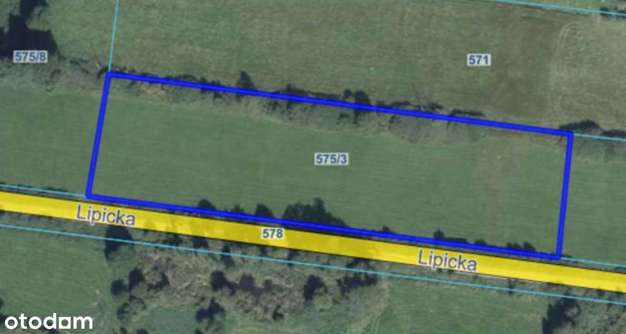 Syndyk sprzeda – udział w nieruchomości gruntowej w Romanowie Dolnym - Pełny obrazek: 4/5