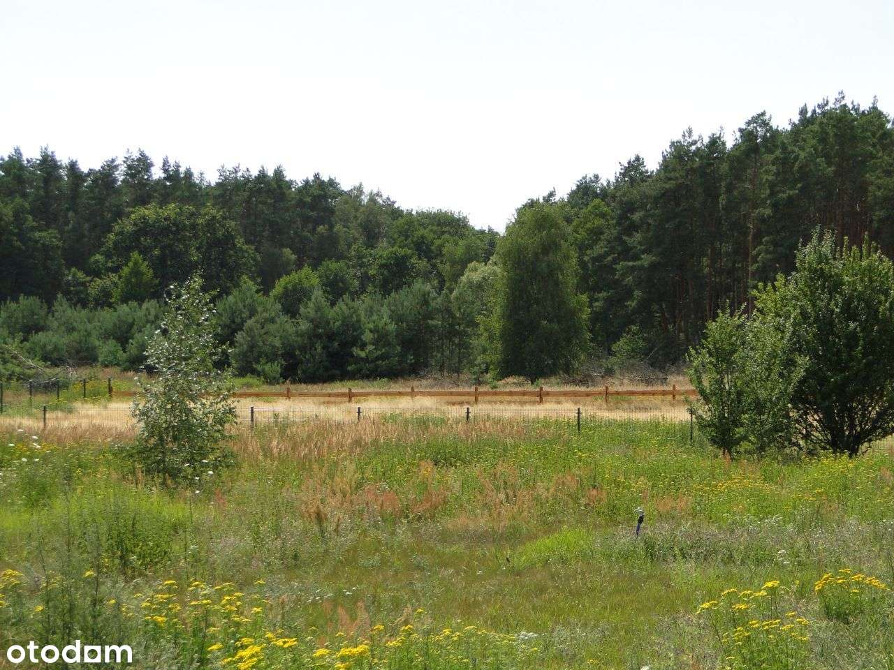 Działki przy lesie Orkowo,1242m²WZ wszystkie media - Pełny obrazek: 3/3