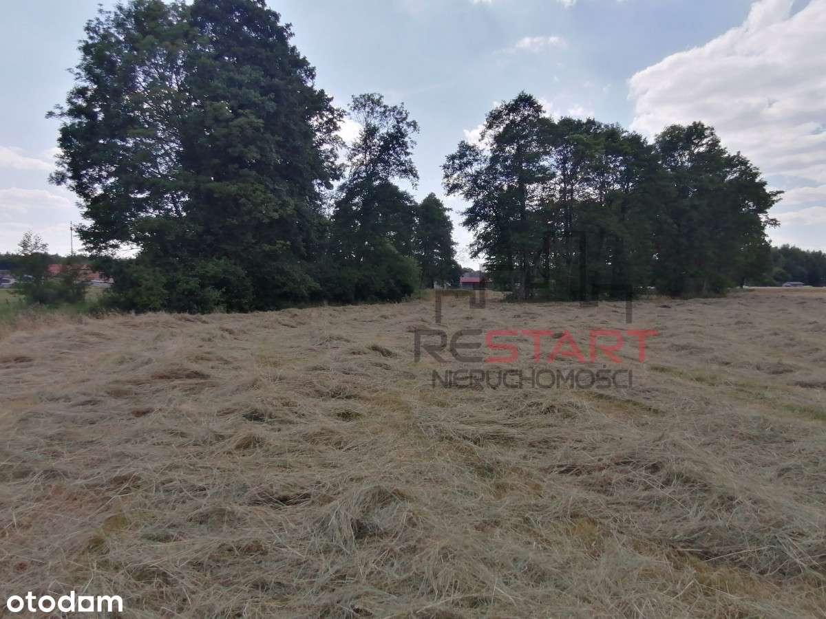 Urokliwa działka z możliwością Warunków Zabudowy - Pełny obrazek: 5/8