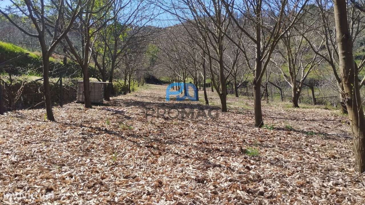 Quinta com 3 artigos urbanos, piscina e 9,4 ha em Resende-40