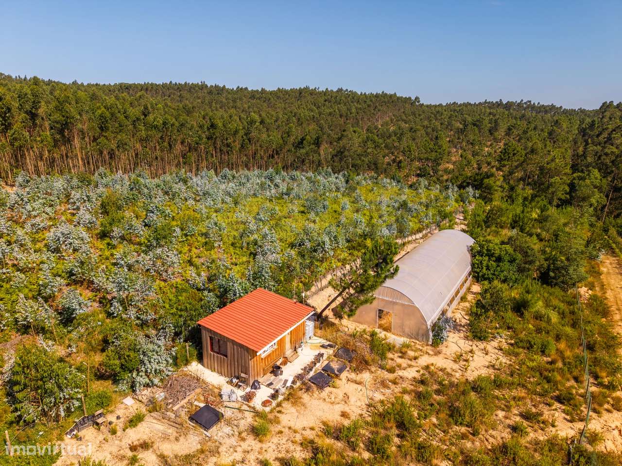Terreno Agrícola na Fanadia | 16.100 m² de Potencial e Infraestrutu...-42