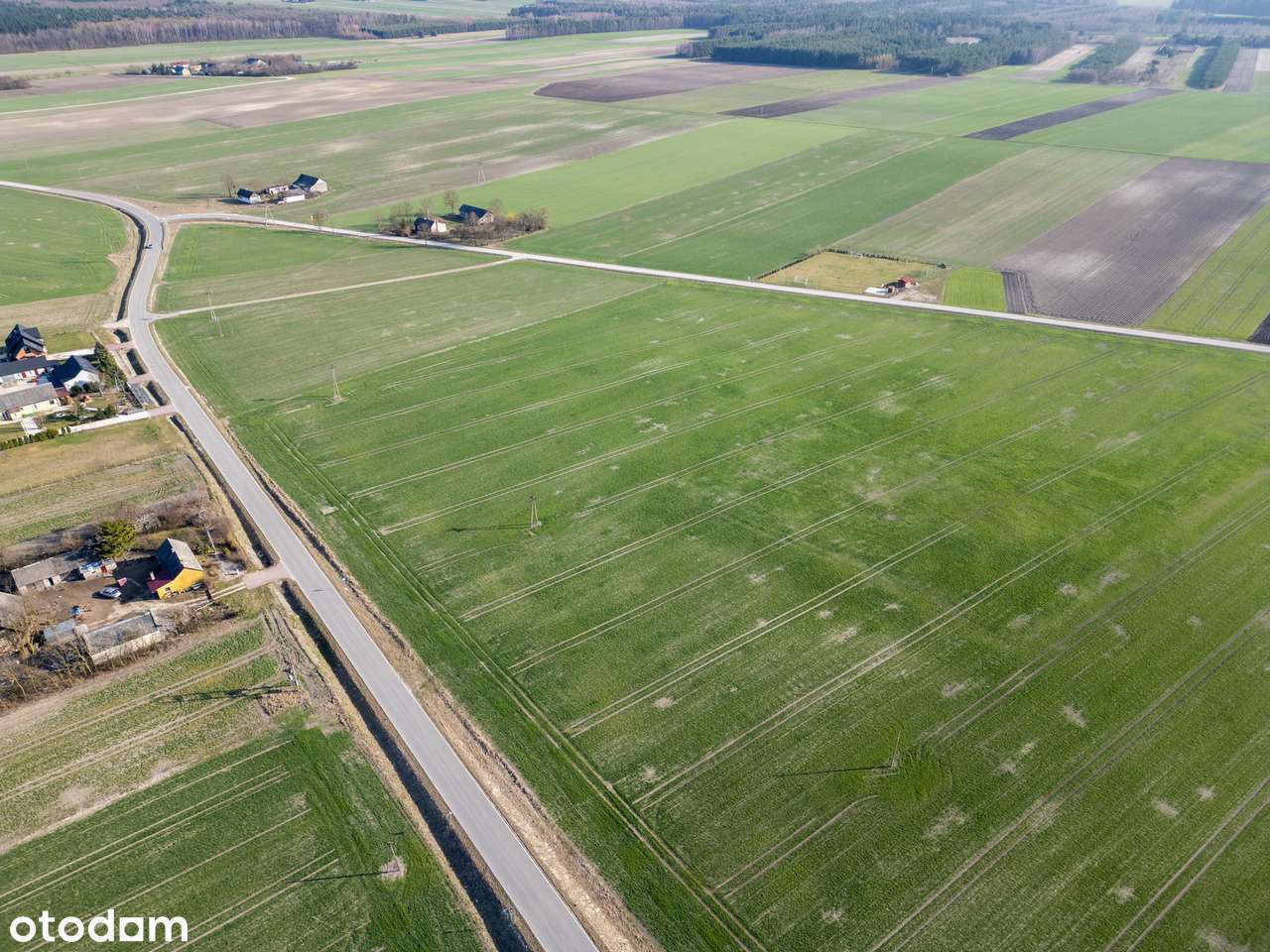 Działka inwestycyjna 8.66 ha - Potok Mały, Jędrzejów - Pełny obrazek: 5/6