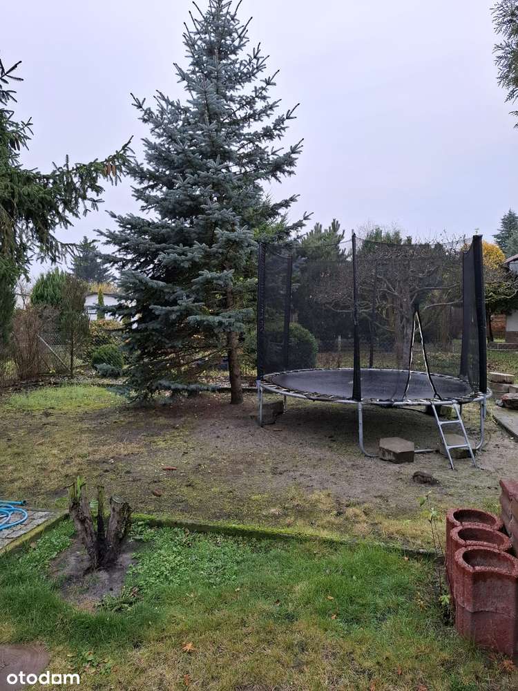 Ładna działka ROD Zielony Gaj na Prądach. OKAZJA!!!-11