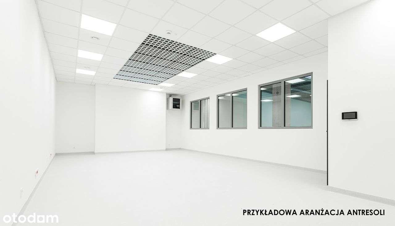 Nowe hale (od 300-1300 m2) KSSENON ulgi podatkowe - Pełny obrazek: 5/17