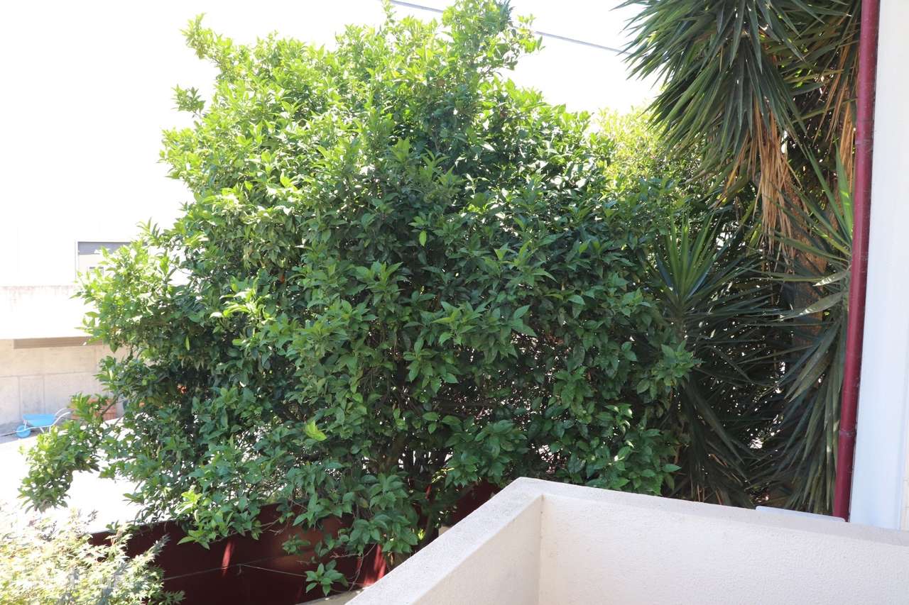 Moradia Geminada T3 Venda em Caldas de Vizela (São Miguel e São João),-25