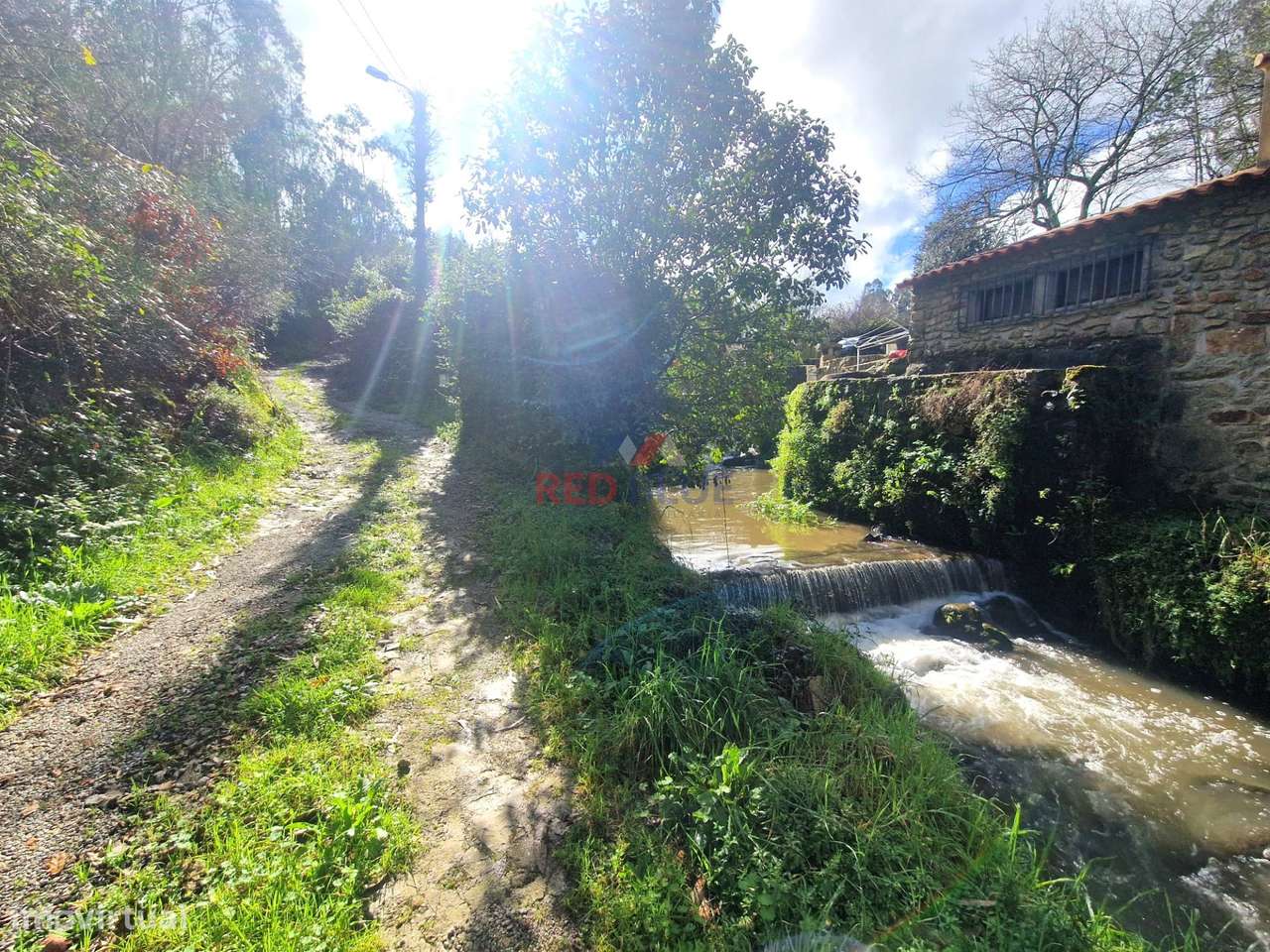 TERRENO, ZONA FLORESTAL, MACIEIRA DA MAIA, VILA DO CONDE - Grande imagem: 4/5