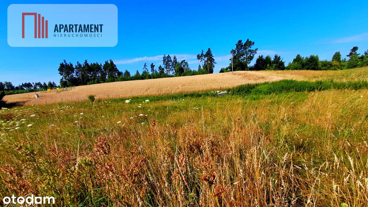 Nowa cena!!Duża działka budowlana blisko miasta! - Pełny obrazek: 3/10