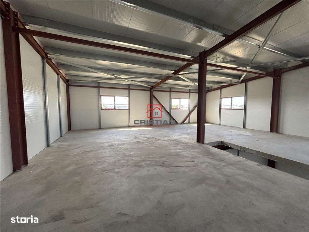Vanzare depozithalaspatiu industrial Theodor Pallady - Drumul Intre Ta - Imagine principală: 5/20