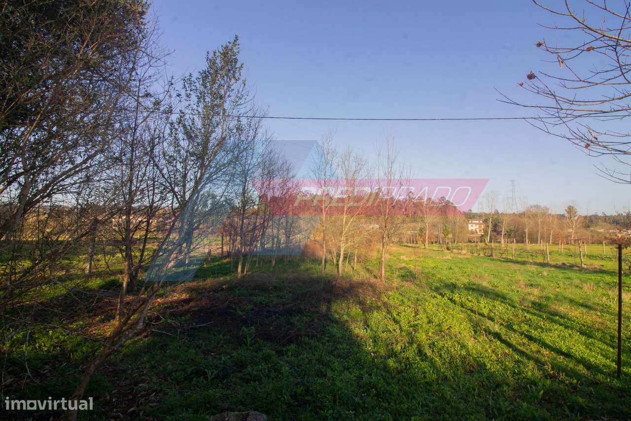 Terreno Agrícola em Escariz S. Mamede - Grande imagem: 4/8