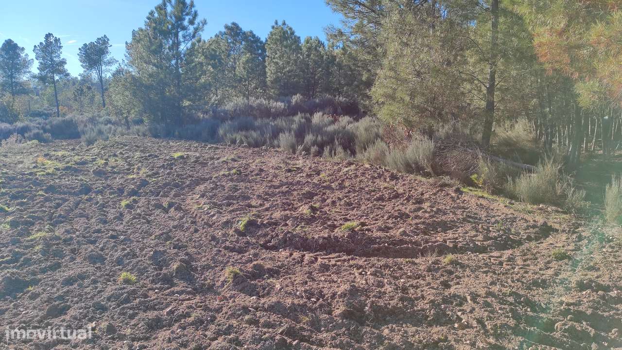Quinta com vista deslumbrante para a Serra da Estrela 17500€-11