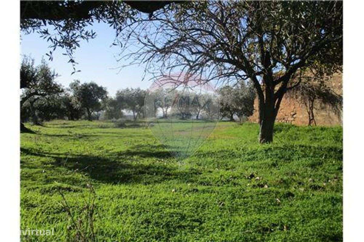 Quinta T0 para venda - Grande imagem: 5/24